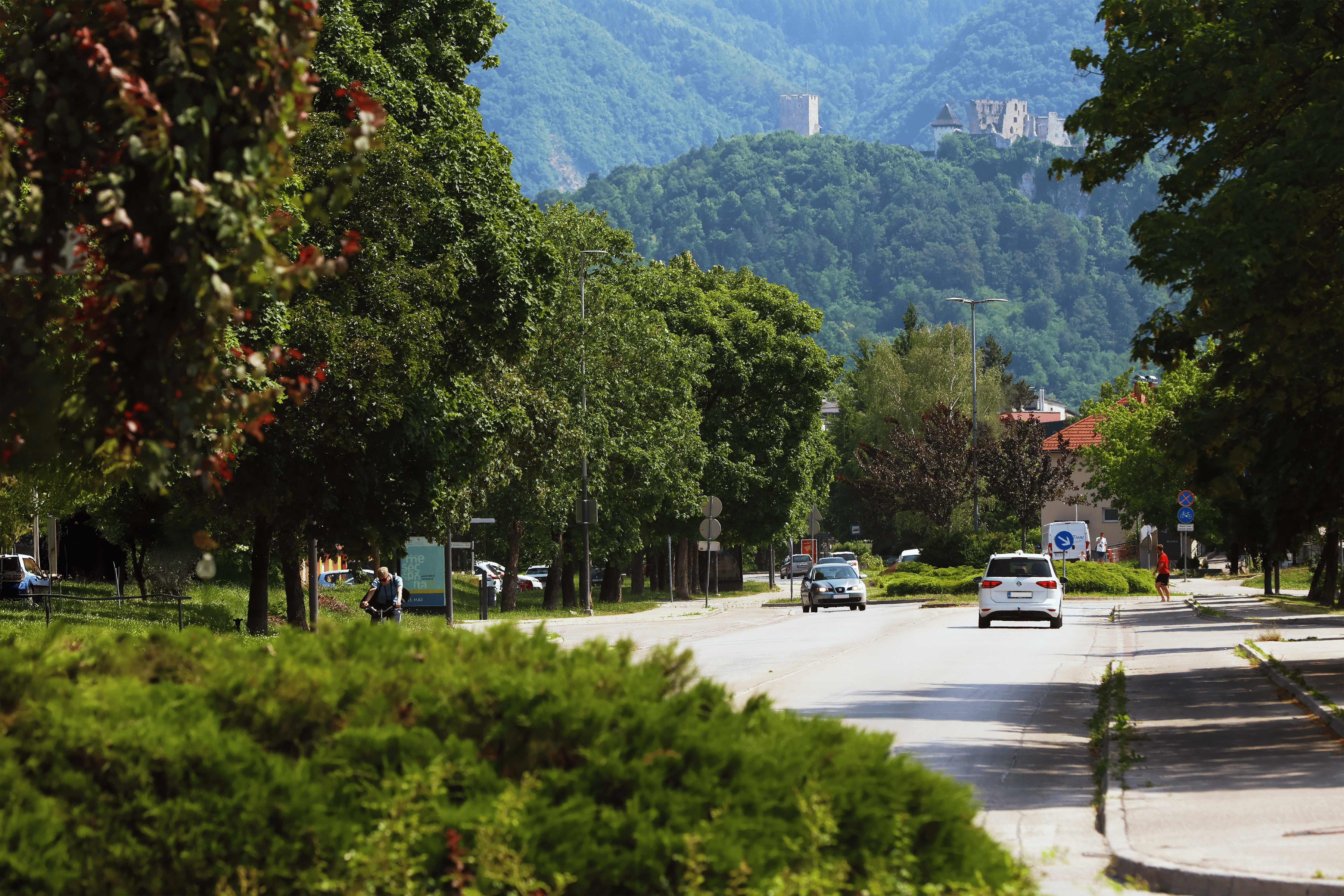 UrbanGreenLeap_Photo1_Municipality-Celje green area, biodiversity, hedges